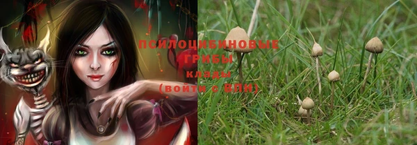 каннабис Вяземский
