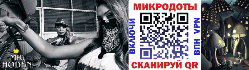 Купить где  Первомайск  Псилоцибиновые грибы мухоморы 